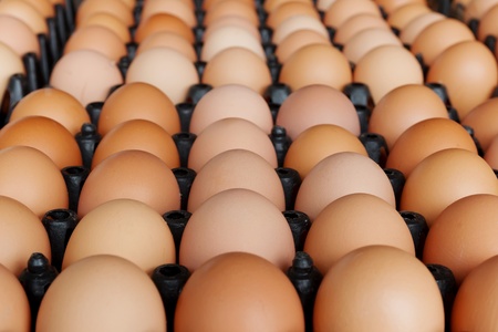 close up of eggs in container  boardのeditorial素材