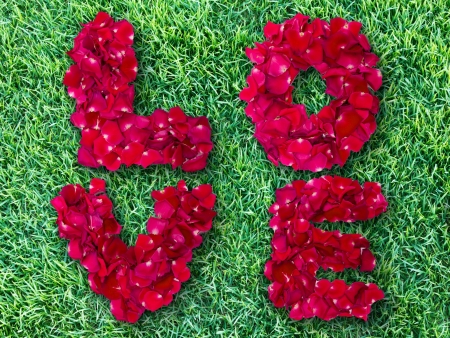 Word of love made from red rose petals on green grass fieldの写真素材