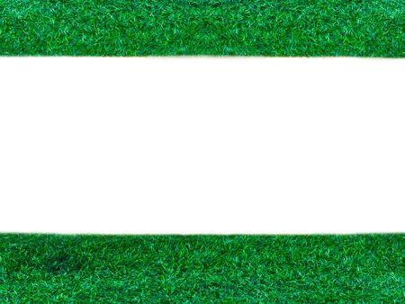 Green grass on white backgroundの写真素材