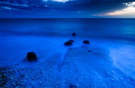 sea sunrise の写真素材