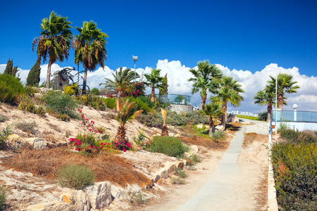 Beautiful coast view near Kalymnos Beach in Cyprus.の写真素材