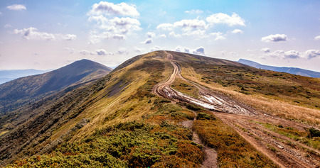 Beautiful landscape in Carpathian mountains, Ukraine.の写真素材