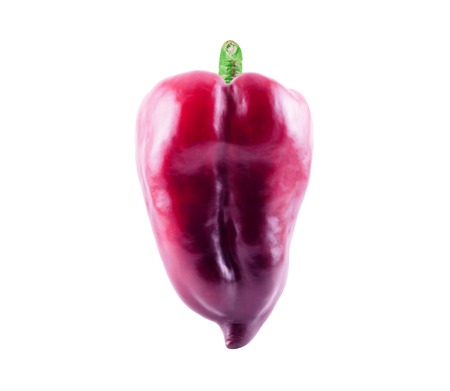 Purple colorful pepper isolated on white backgroundの写真素材