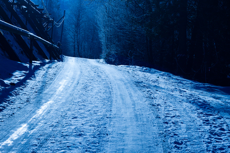 Snowy road in winter forest in blue tonesの写真素材