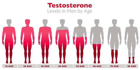 Testosterone Levels. Testosterone rates in the body of men with age. high and low levels. Gray silhouette of male, red occupancy rate. Growth, aging, sexual health, libido ratio. Illustration vectorのイラスト素材
