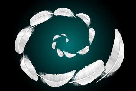 White feathers on a black background. Spiral. Vectorのイラスト素材
