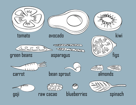 Superfood fruits and vegetables isolated outlines contour black white vector illustration set. Figs spinach chard goji raw cacao bean sprout vegetarian vegan foodのイラスト素材
