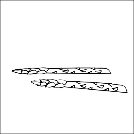Asparagus outline black white vector sign icon. Monochrome hand drawn vegetable symbol.のイラスト素材