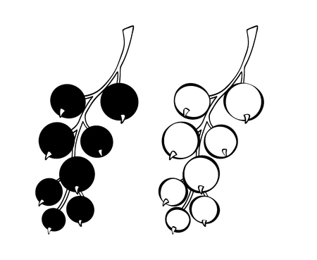 Black currant outline black white vector sign icon illustration. Monochrome hand drawn vegetable symbol calligraphy pen.のイラスト素材