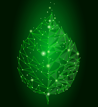 Connected dots point line triangle leaf. Eco nature concept on green background lights geometric poligonal low poly icon template vector illustration artのイラスト素材