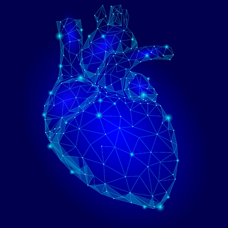 Human Heart Internal Organ Triangle Low Poly. Connected dots blue color technology 3d model medicine healthy body part vector illustrationのイラスト素材