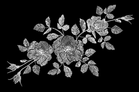 Embroidery flower white rose wildflower dogrose briar patch. Fashion print textile ornament decoration on black vector illustration artのイラスト素材