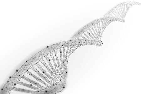 DNA 3D chemical molecule structure low poly. Polygonal triangle point line healthy cell part. Microscopic science gray white medicine genome engineering vector illustration future business technologyのイラスト素材
