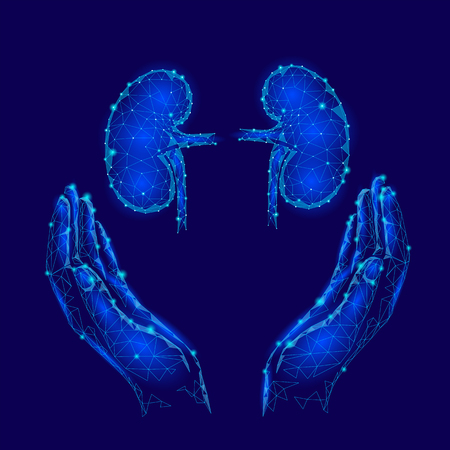 World Kidney Day greeting card low poly design template. Health awareness promotional poster human internal organ polygonal point line kidneys in hands care holding vector illustration.のイラスト素材