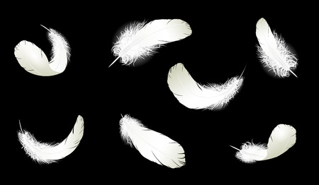 Realistic detailed white swan pigeon feathers fluff set collection black blue background.のイラスト素材