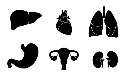 Human organ icon symbol medicine logo set. Heart kidney lungs womb stomach liver innovation medical flat color center vector illustration artのイラスト素材