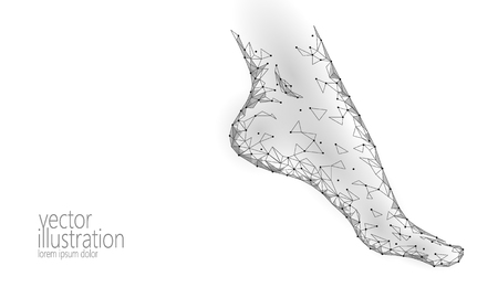 Human feet toe 3D low poly render. Polygonal gray white monochrome neutral color medical healthcare painful area. Medicine poster triangle point line leg anatomical woman foot vector illustration artのイラスト素材