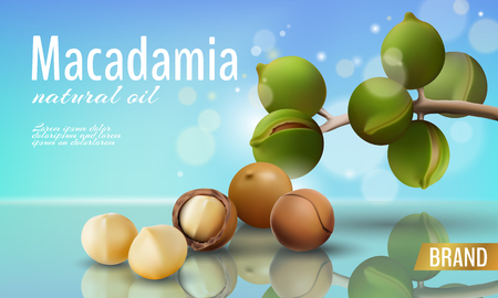 Realistic 3d macadamia nut oil cosmetic shell ad template. Branch leaves nutshell. Light summer sky sunny beauty care. Promotional detailed poster template reflection defocused vector illustrationのイラスト素材