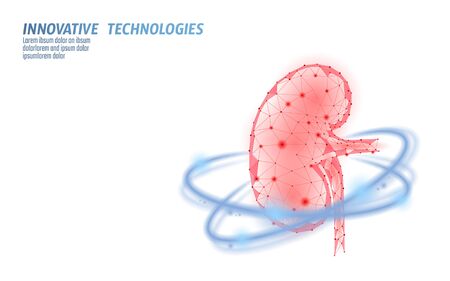 Healthy kidney internal organ 3d low poly geometric model. Urology system medicine disease treatment. Future science technology glowing arrows vector illustrationのイラスト素材