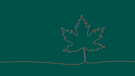 One line continuous canadian maple leaf symbol concept. Silhouette autumn leaves acer tree. Digital white single line sketch drawing vector illustrationのイラスト素材