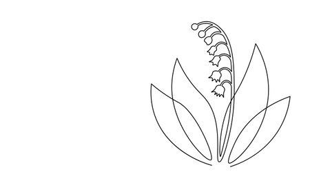 Single continuous line art lily of the valley flower. Plant leaves holiday decoration wedding flower eco natural concept design one sketch outline drawing vector illustrationのイラスト素材