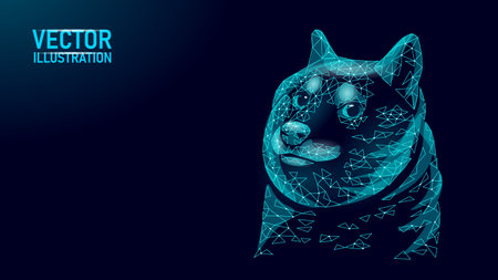 Low poly funny dog face. Shiba Inu dog crypto coin concept. Doge meme character cool portrait. Polygonal vector illustrationのイラスト素材