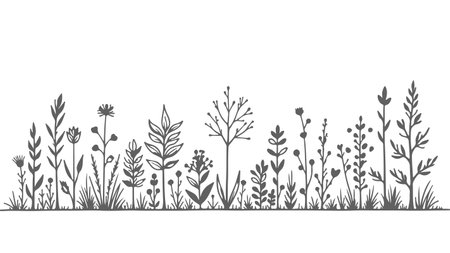 Wildflowers grass silhouette background. Different herbs plants border print engraving t-shirt print Black line art white background vector illustrationのイラスト素材