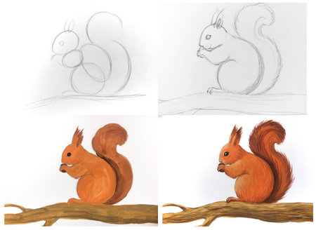 Squirrel drawing tutorial illustration. Step by step guide depicting animal art. Education wildlife nature creation. Artistic expressive style orange white backgroundの写真素材
