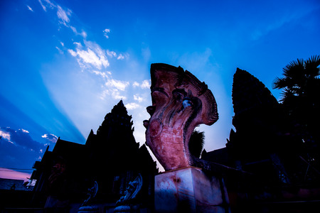 art of snake in twilightの写真素材