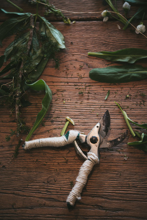 details of gardening workの写真素材