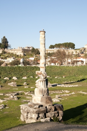 Entrance to the ancient Roman city of Ephesus  It is a stork on top of a roman columnの写真素材