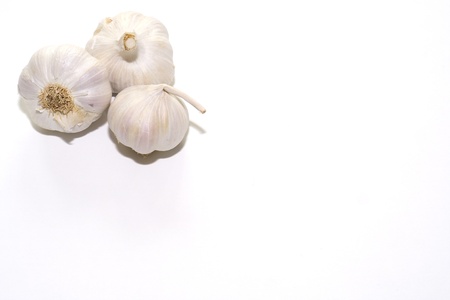 Garlic bulbsの写真素材