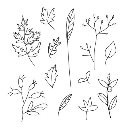 Simple vector leaves, branches and berries.Botanical autumn illustration with black lines on white isolated background doodle.Design for coloring, card, web, poster, logo, print.のイラスト素材