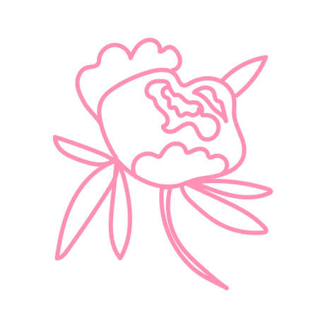 Vector single Peony. Botanical illustration doodle pink line art on a white isolated background.Design for social media,web,cards,textiles, wrapping paper,packaging,prints,coloring.のイラスト素材