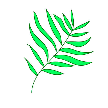 The leaf of the palm hand drawn. Tropical and botanical illustration green line art on a white isolated background.Design for web,social networks,stickers, cards,packaging,wallpaper.のイラスト素材