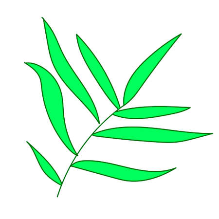 The leaf of the palm hand drawn. Tropical and botanical illustration green line art on a white isolated background.Design for web,social networks,stickers, cards,packaging,wallpaper.のイラスト素材
