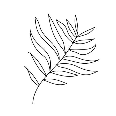 The leaf of the palm hand drawn. Tropical and botanical illustration black line art on a white isolated background. Design for web,social networks,textiles,stickers, cards, packaging,wallpaper.のイラスト素材