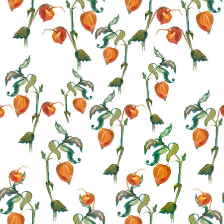 Watercolor autumn physalis, leaves, barberry in orange, yellow, green flowers seamless pattern. Botanical print illustrations on white isolated background. Design for textiles, wallpaper, wrapping paper.の写真素材