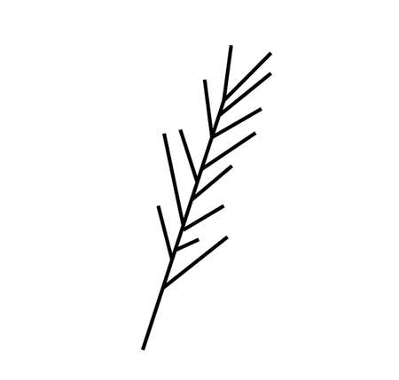 Vector rosemary branch with a black line.Simple food and cooking illustration in doodle style on a white isolated background hand drawn.Design for social networks, web, advertising, menus, recipes.のイラスト素材