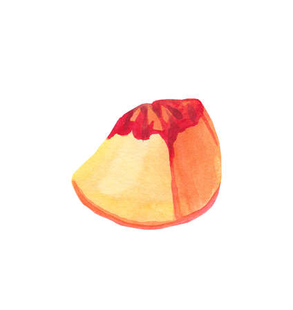 Watercolor orange peach. Juicy fruit on white isolated background.Ingredient for tasty and healthy meals.Design for menus, cards, social networks, prints, packaging, web, ceramics, recipes, decoration.の写真素材