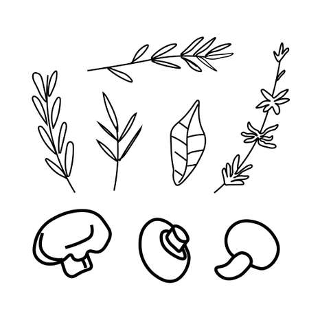 Vector set of illustrations with champignons, herbs, soup in doodle style.Collection with food black lines hand drawn.Clip art with mushrooms, rosemary, basil.Design for packaging, social network, web, menu.のイラスト素材