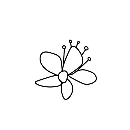 Vector Asian flower in doodle style Spring botanical illustration for Chinese New Year.Cherry blossom sakura with black hand drawn line.Design cards, social media, weddings, stickers, coloring books.のイラスト素材