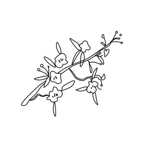 Vector Asian flower in doodle style Spring botanical illustration for Chinese New Year.Cherry blossom sakura with black hand drawn line.Design cards, social media, weddings, stickers, coloring books.のイラスト素材