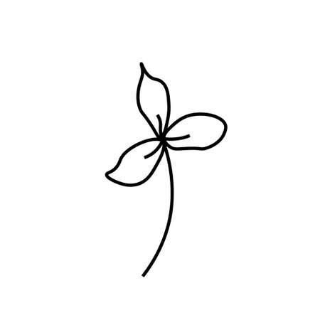 Vector minimalist plant leaf with a black line.One Summer simple hand drawn illustration on white isolated background in doodle style.Design for packaging, websites, social media, posters, postcards.のイラスト素材