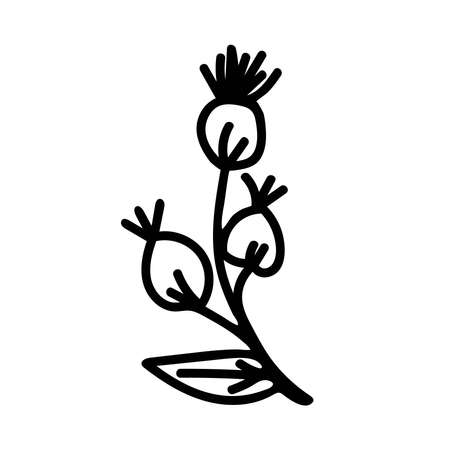Vector Simple Christmas plant in doodle style with black line on white backgroundのイラスト素材
