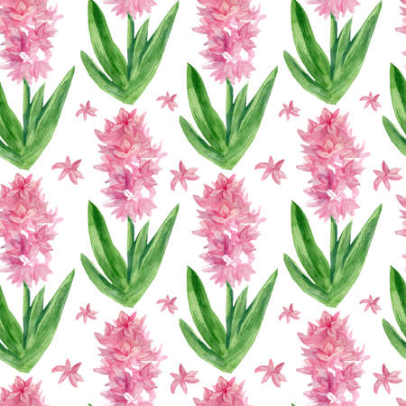 Watercolor seamless patterns with Hyacinths on a white background. Spring, botanical, festive hand painted prints.Designs for wrapping paper, textiles, fabric, wallpaper, packaging.の写真素材