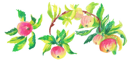 Clip art Pink apples drawn with wax crayons on white isolated background. Children's botanical collection of oil pastel illustrations. Designs for greeting cards, stickers, social media, posters.の写真素材