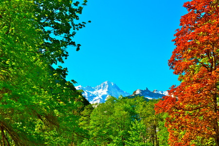 Snow Capped Peaks of the Swiss Alpsの写真素材
