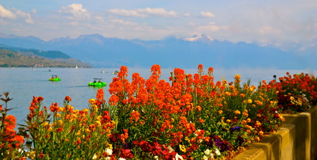 Water view in Lausanne, Switzerlandの写真素材