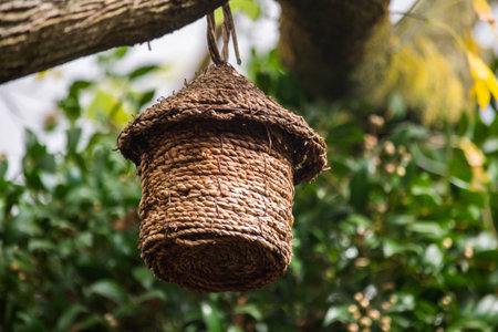 A tiny little woven treehouse hanging from a tree branch, in my backyard
